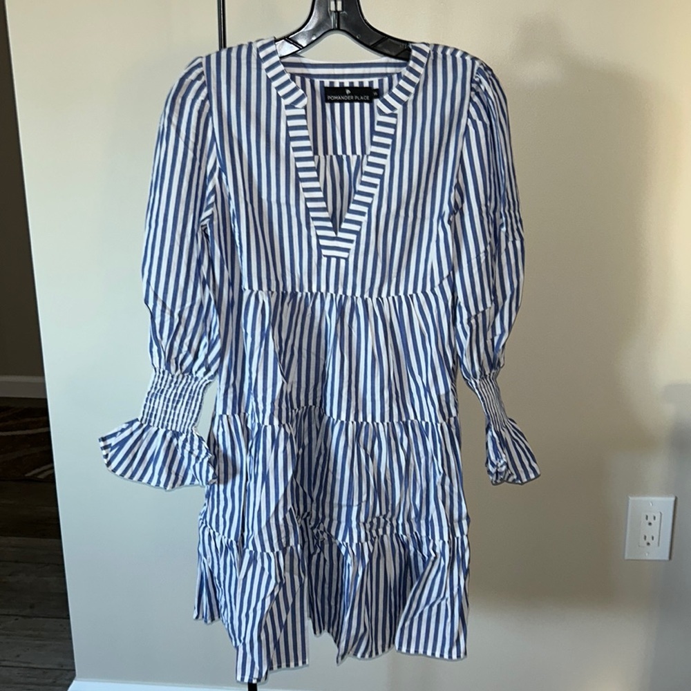 Blue and White Stripe Cotton Poplin Kenzo Dress
POMANDER PLACE - Picture 10 of 14